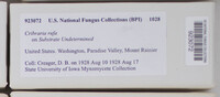 Image Associated With the Occurence